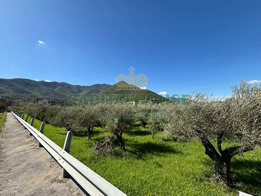 Immagine 4 di Terreno agricolo in vendita  in localita costa a Mercato San Severino