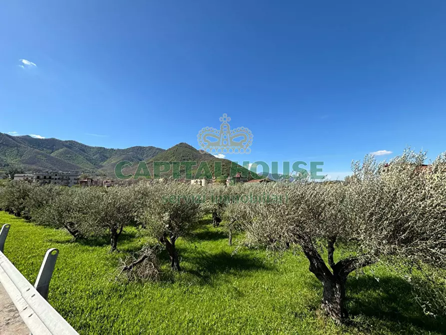 Immagine 5 di Terreno agricolo in vendita  in localita costa a Mercato San Severino