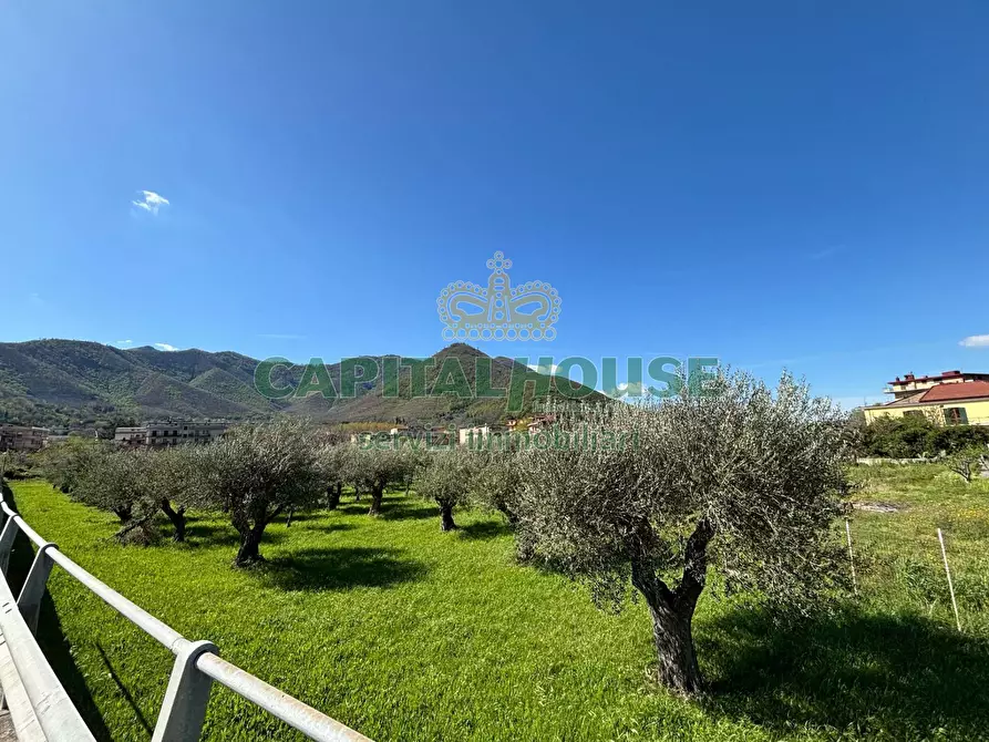 Immagine 6 di Terreno agricolo in vendita  in localita costa a Mercato San Severino