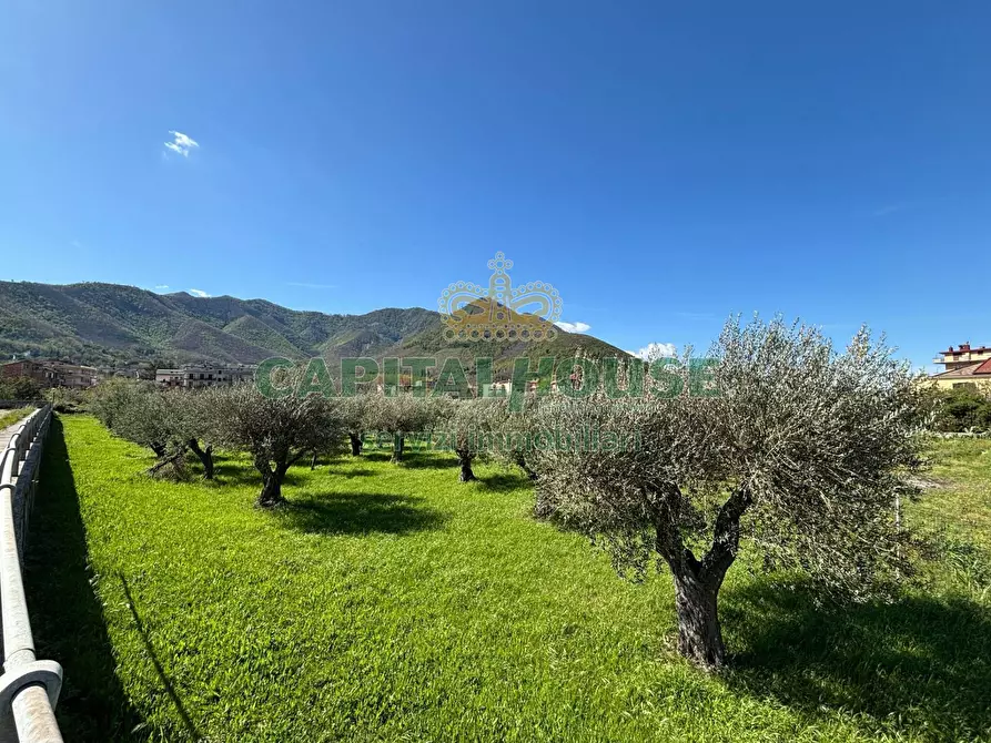 Immagine 7 di Terreno agricolo in vendita  in localita costa a Mercato San Severino