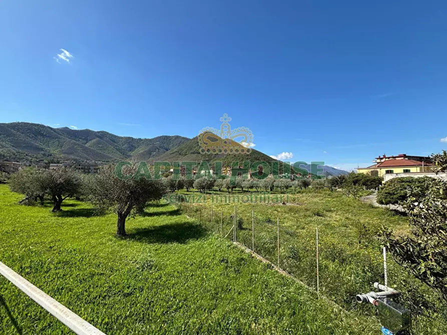 Immagine 8 di Terreno agricolo in vendita  in localita costa a Mercato San Severino