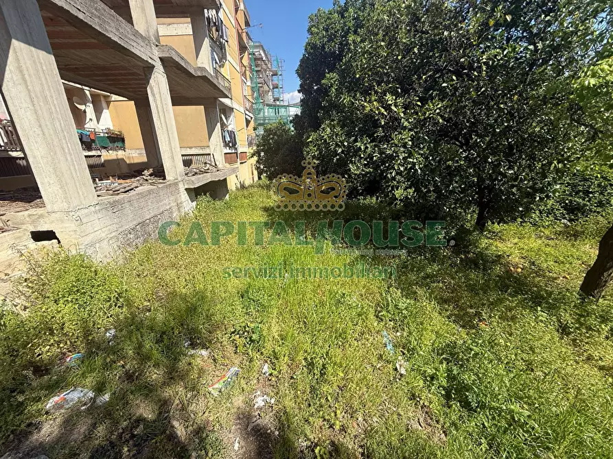 Immagine 6 di Casa indipendente in vendita  in VIA D ' ANDREA a Siano