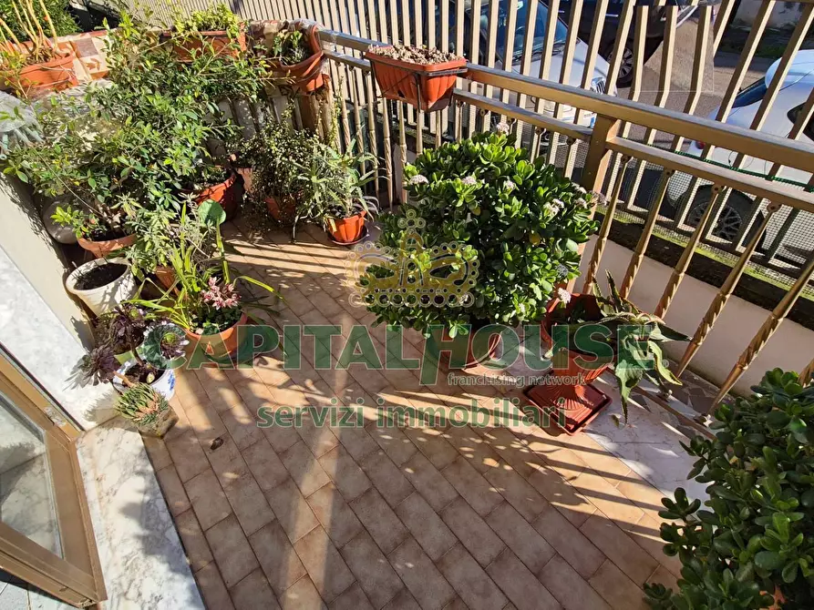 Immagine 33 di Appartamento in vendita  a Camigliano