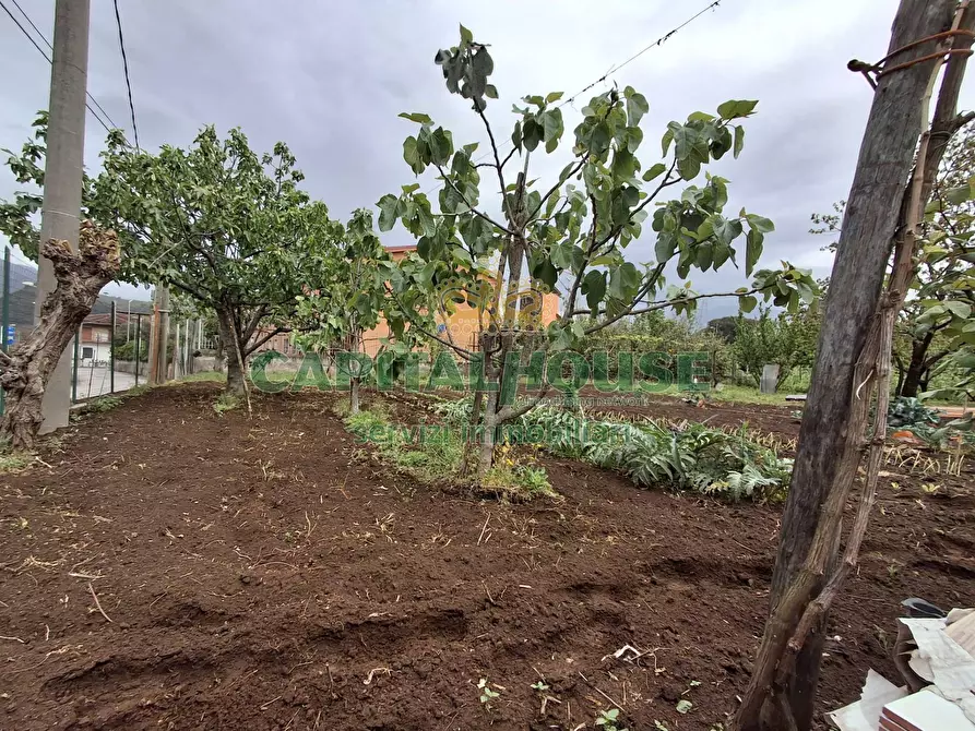 Immagine 2 di Terreno residenziale in vendita  in Localita curteri a Mercato San Severino