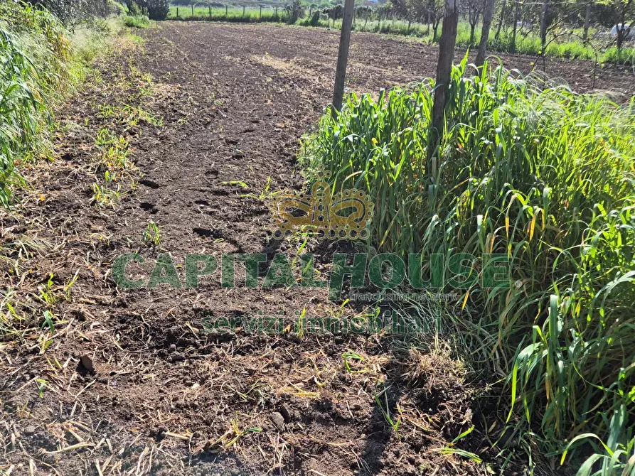 terreno agricolo in vendita a Capodrise