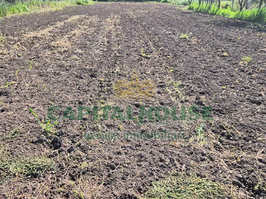 Immagine 3 di Terreno agricolo in vendita  a Capodrise