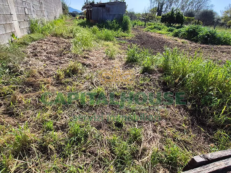 Immagine 4 di Terreno agricolo in vendita  a Capodrise