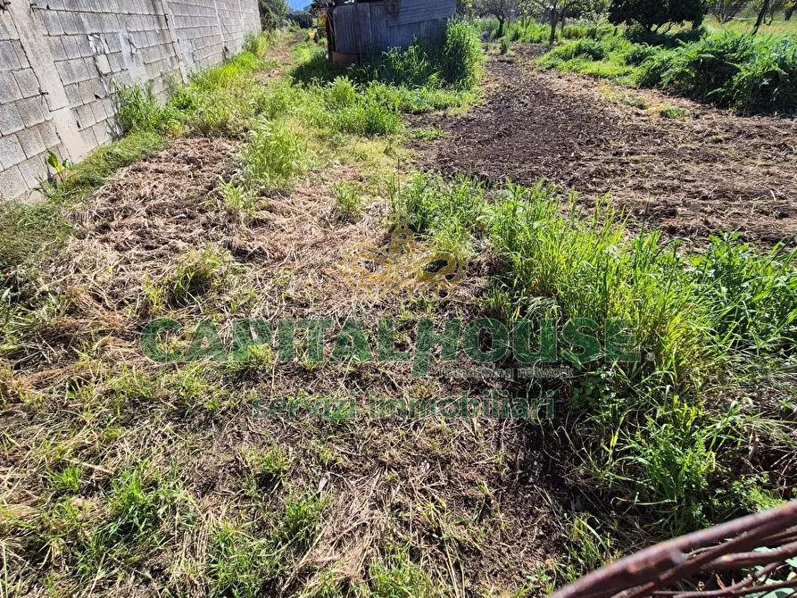 Immagine 5 di Terreno agricolo in vendita  a Capodrise