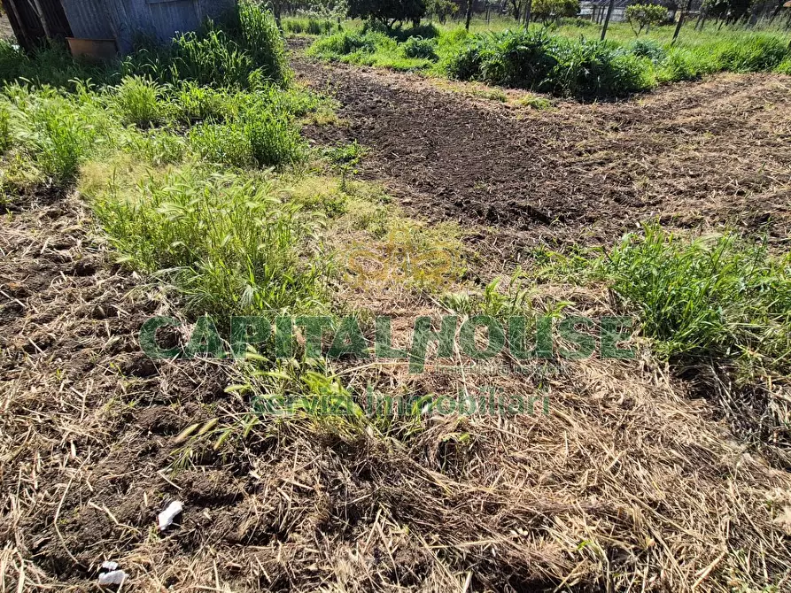 Immagine 6 di Terreno agricolo in vendita  a Capodrise