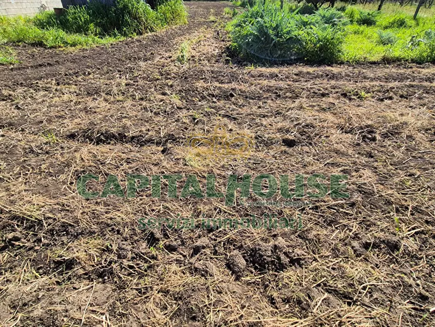 Immagine 7 di Terreno agricolo in vendita  a Capodrise