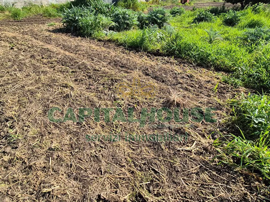 Immagine 8 di Terreno agricolo in vendita  a Capodrise