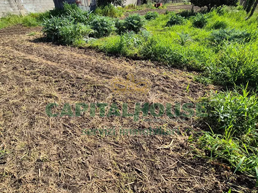 Immagine 9 di Terreno agricolo in vendita  a Capodrise