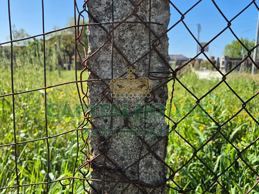 Immagine 10 di Terreno agricolo in vendita  a Capodrise