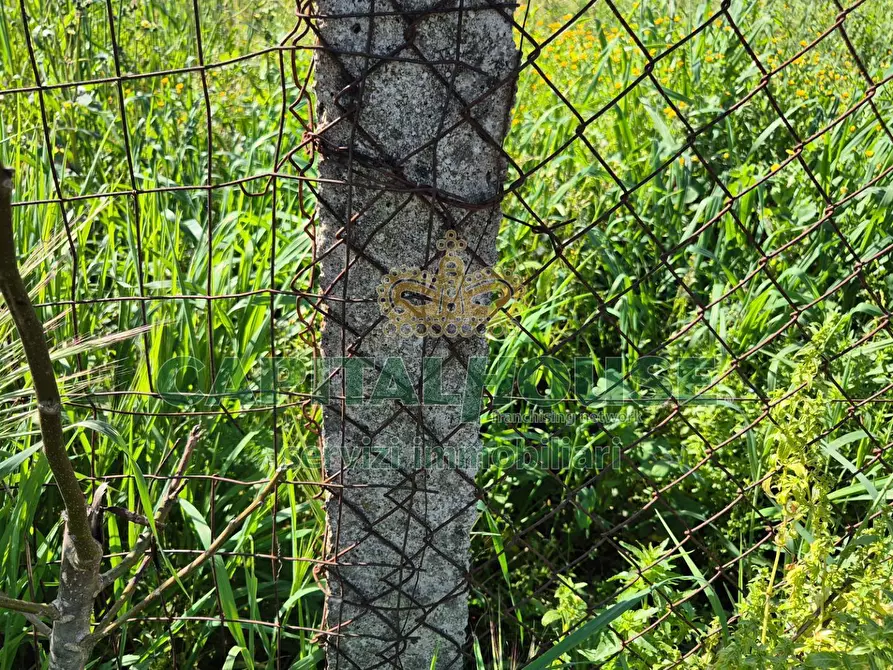 Immagine 11 di Terreno agricolo in vendita  a Capodrise