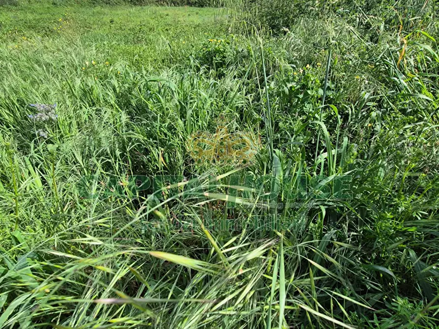 Immagine 1 di Terreno agricolo in vendita  a Capodrise