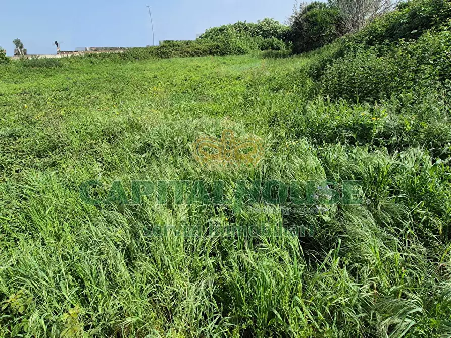 Immagine 4 di Terreno agricolo in vendita  a Capodrise