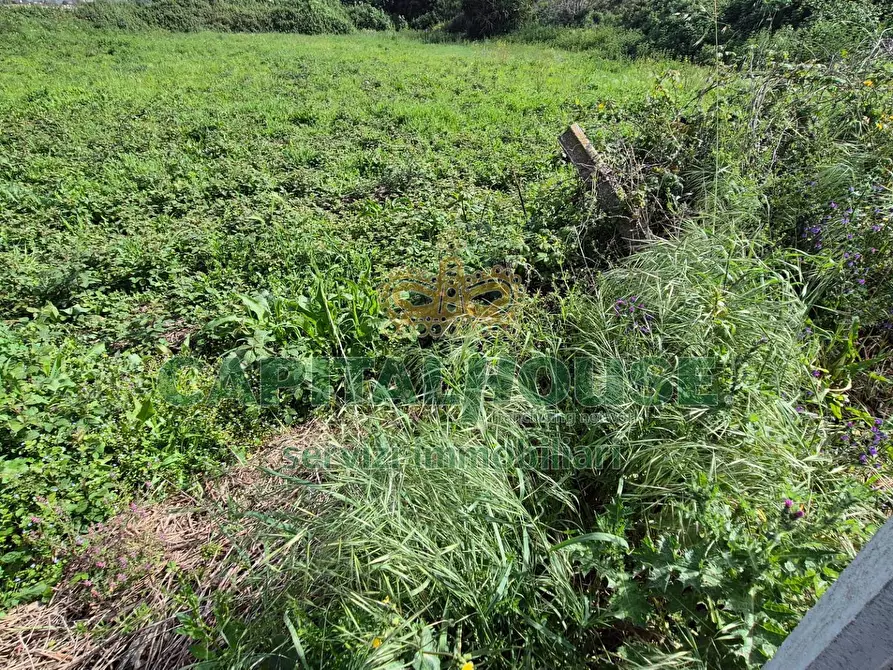 Immagine 7 di Terreno agricolo in vendita  a Capodrise