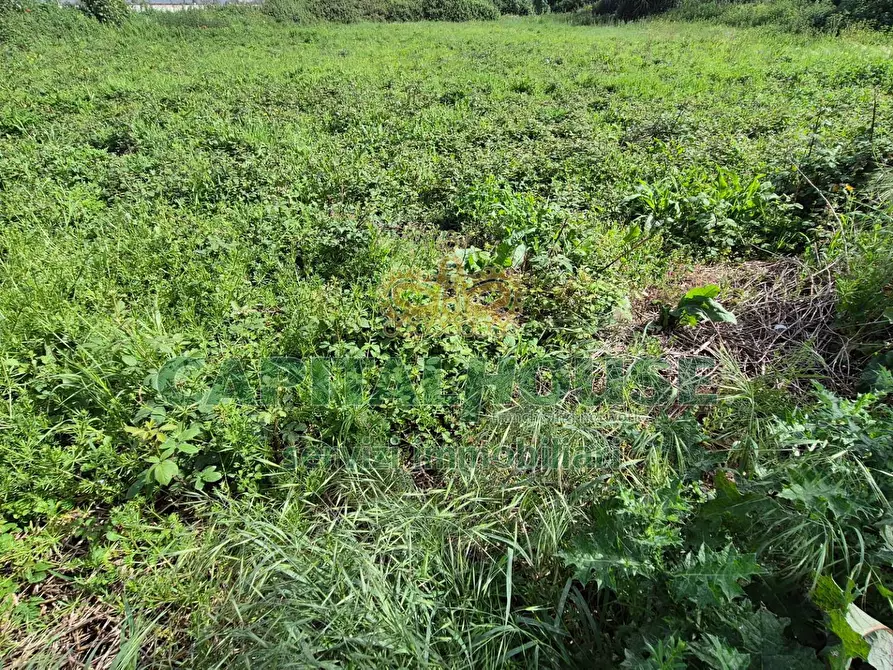 Immagine 8 di Terreno agricolo in vendita  a Capodrise