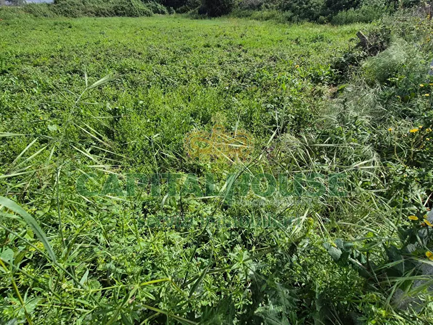 Immagine 9 di Terreno agricolo in vendita  a Capodrise