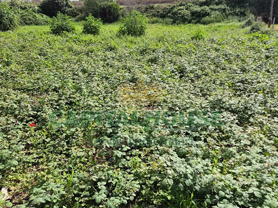 Immagine 11 di Terreno agricolo in vendita  a Capodrise