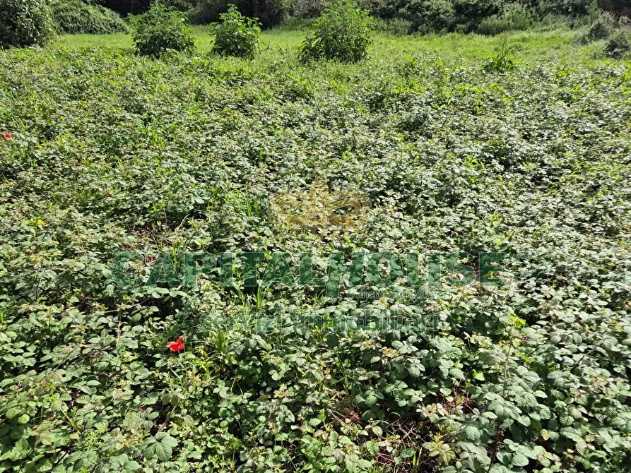 Immagine 12 di Terreno agricolo in vendita  a Capodrise