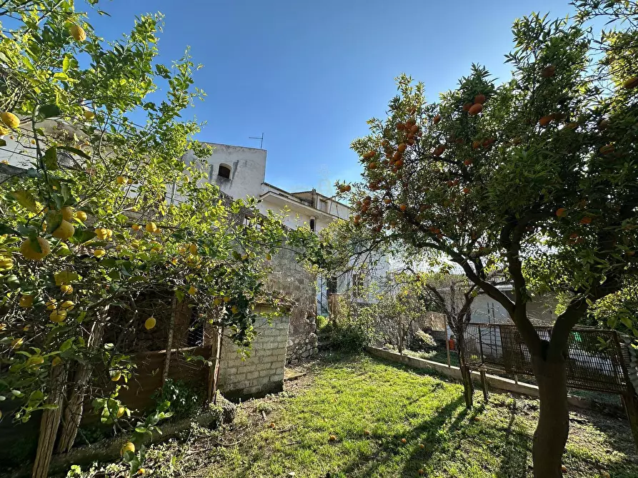 Immagine 5 di Casa indipendente in vendita  in via casale a Aiello Del Sabato