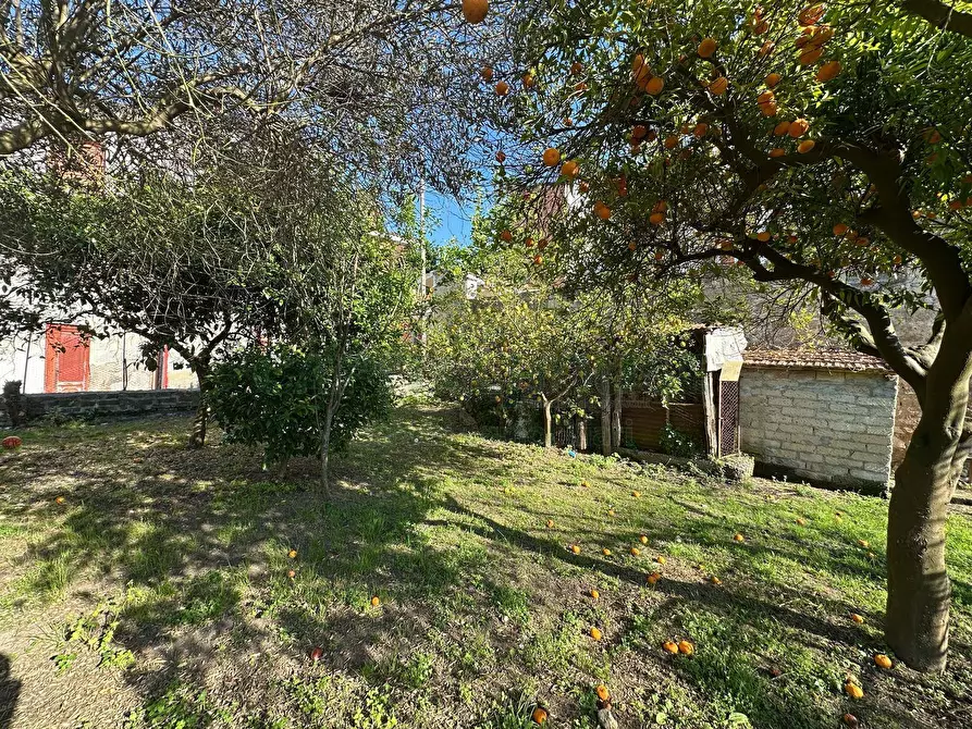 Immagine 6 di Casa indipendente in vendita  in via casale a Aiello Del Sabato