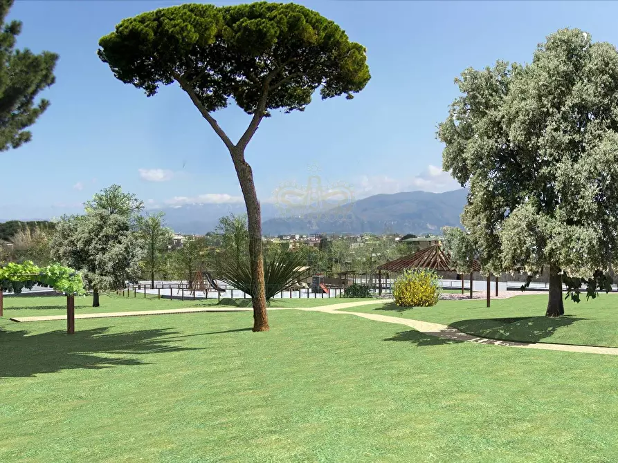 Immagine 3 di Terreno agricolo in vendita  in via notilli a Cercola