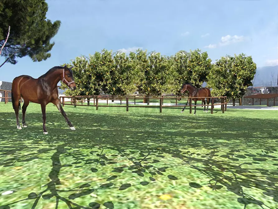 Immagine 4 di Terreno agricolo in vendita  in via notilli a Cercola