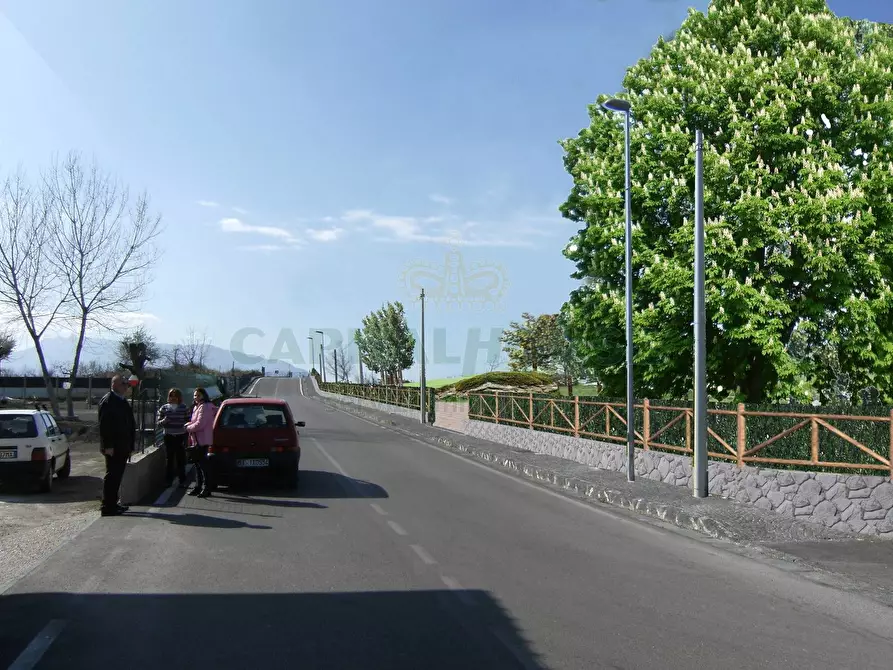 Immagine 6 di Terreno agricolo in vendita  in via notilli a Cercola