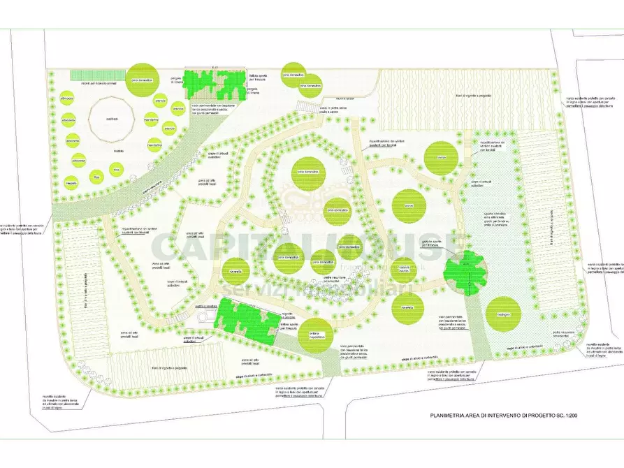 Immagine 2 di Terreno agricolo in vendita  in via notilli a Cercola