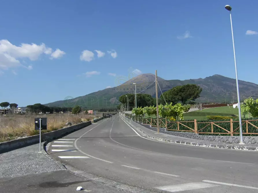 Immagine 9 di Terreno agricolo in vendita  in via notilli a Cercola