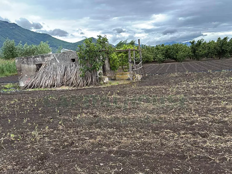 Immagine 1 di Terreno agricolo in vendita  in Via vecchia striano a Sarno
