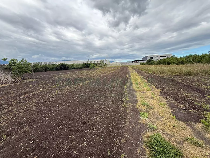 Immagine 2 di Terreno agricolo in vendita  in Via vecchia striano a Sarno