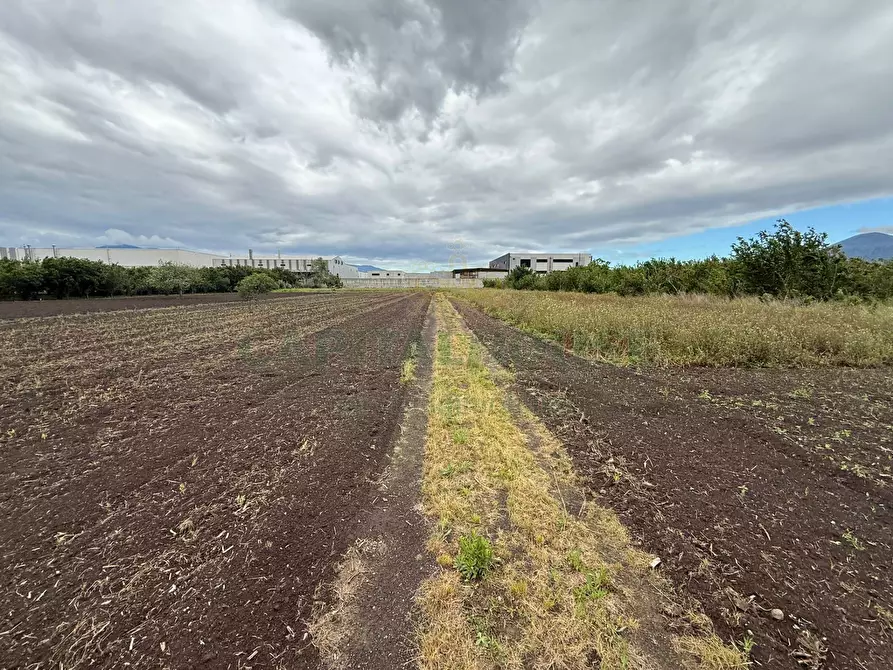 Immagine 3 di Terreno agricolo in vendita  in Via vecchia striano a Sarno