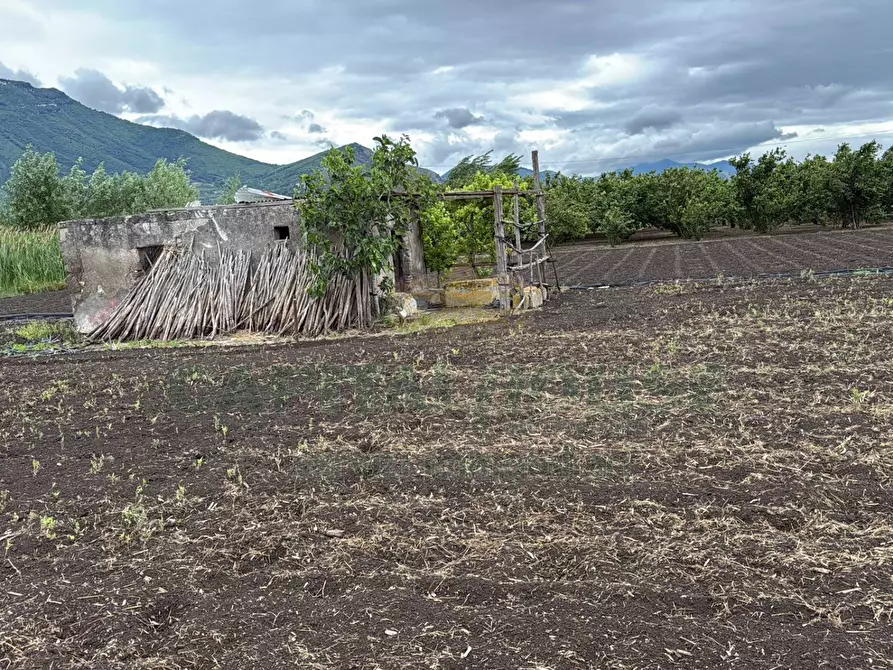 Immagine 4 di Terreno agricolo in vendita  in Via vecchia striano a Sarno