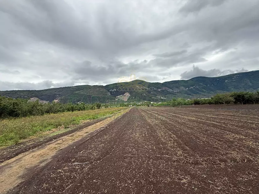 Immagine 5 di Terreno agricolo in vendita  in Via vecchia striano a Sarno