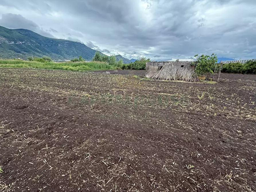 Immagine 6 di Terreno agricolo in vendita  in Via vecchia striano a Sarno