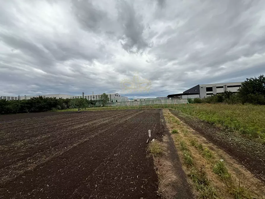 Immagine 7 di Terreno agricolo in vendita  in Via vecchia striano a Sarno