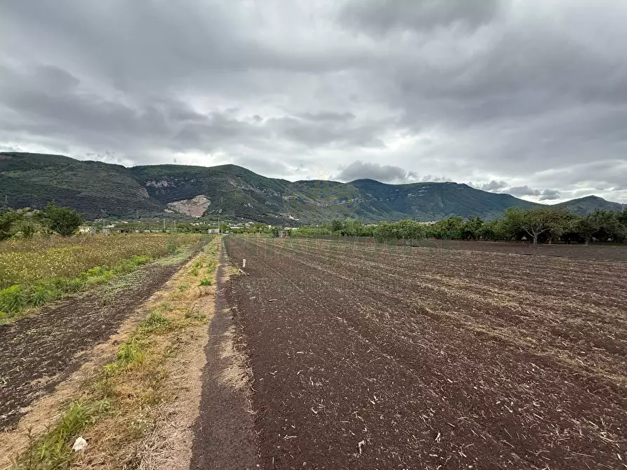 Immagine 8 di Terreno agricolo in vendita  in Via vecchia striano a Sarno