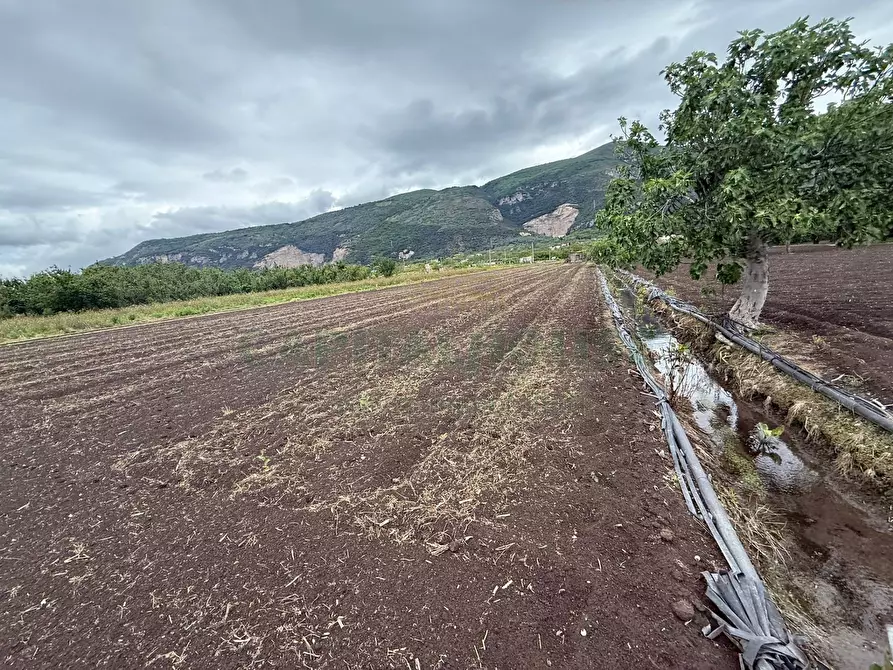 Immagine 9 di Terreno agricolo in vendita  in Via vecchia striano a Sarno