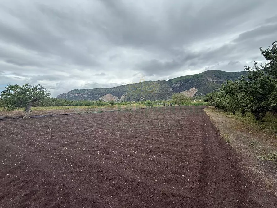 Immagine 11 di Terreno agricolo in vendita  in Via vecchia striano a Sarno