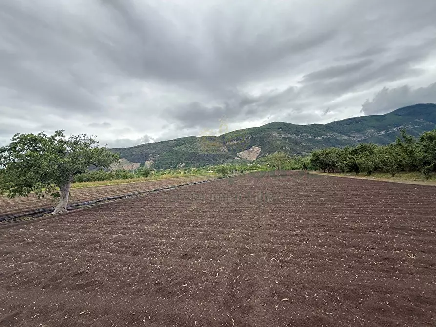 Immagine 12 di Terreno agricolo in vendita  in Via vecchia striano a Sarno