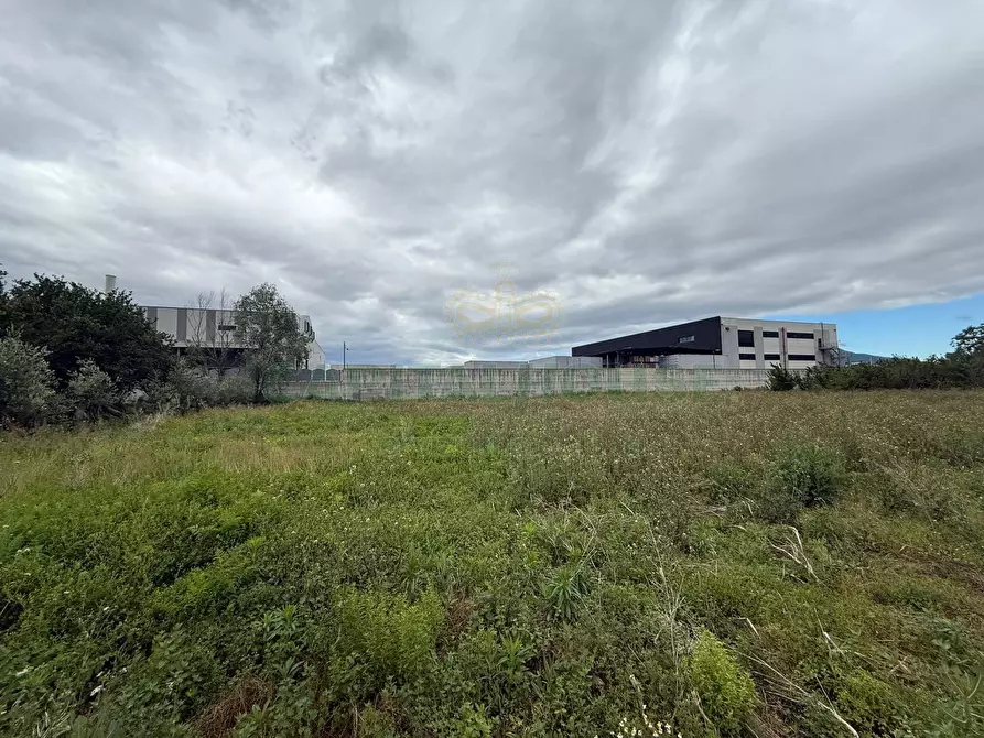 Immagine 13 di Terreno agricolo in vendita  in Via vecchia striano a Sarno