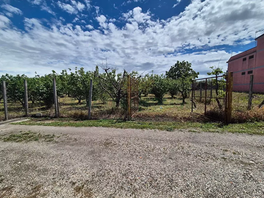 Immagine 6 di Terreno agricolo in vendita  in via Santa Chiara a Saviano
