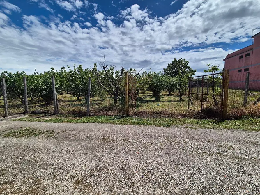 Immagine 12 di Terreno agricolo in vendita  in via Santa Chiara a Saviano