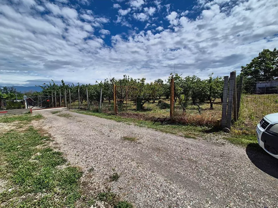 Immagine 7 di Terreno agricolo in vendita  in via Santa Chiara a Saviano