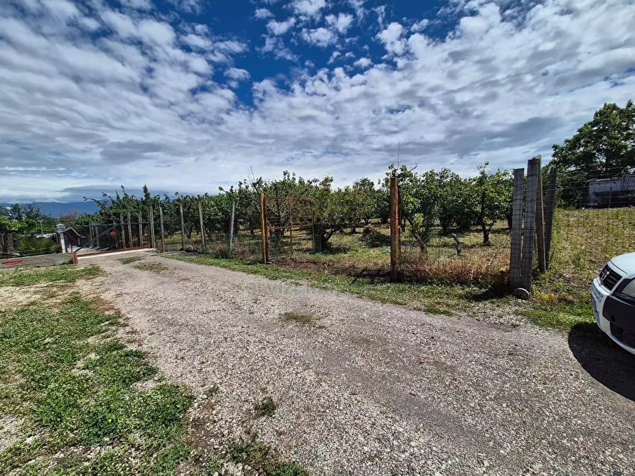 Immagine 8 di Terreno agricolo in vendita  in via Santa Chiara a Saviano