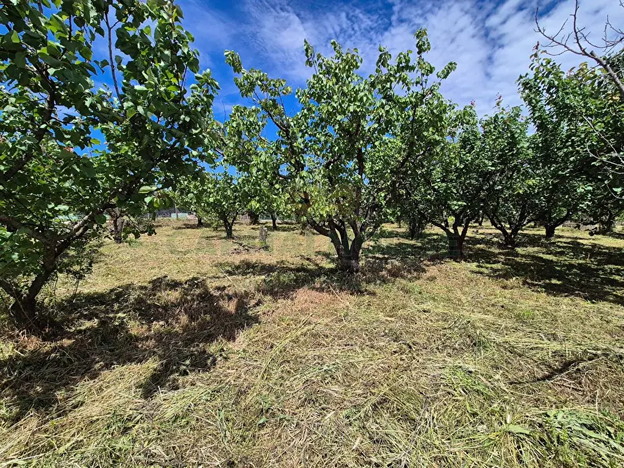 Immagine 9 di Terreno agricolo in vendita  in via Santa Chiara a Saviano