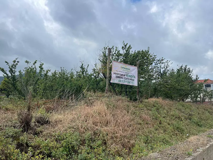 Immagine 2 di Terreno residenziale in vendita  in avella a Avella